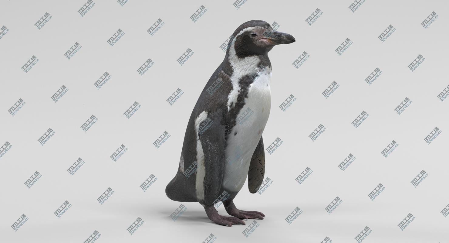 images/goods_img/2021040232/Humboldt Penguin model/1.jpg